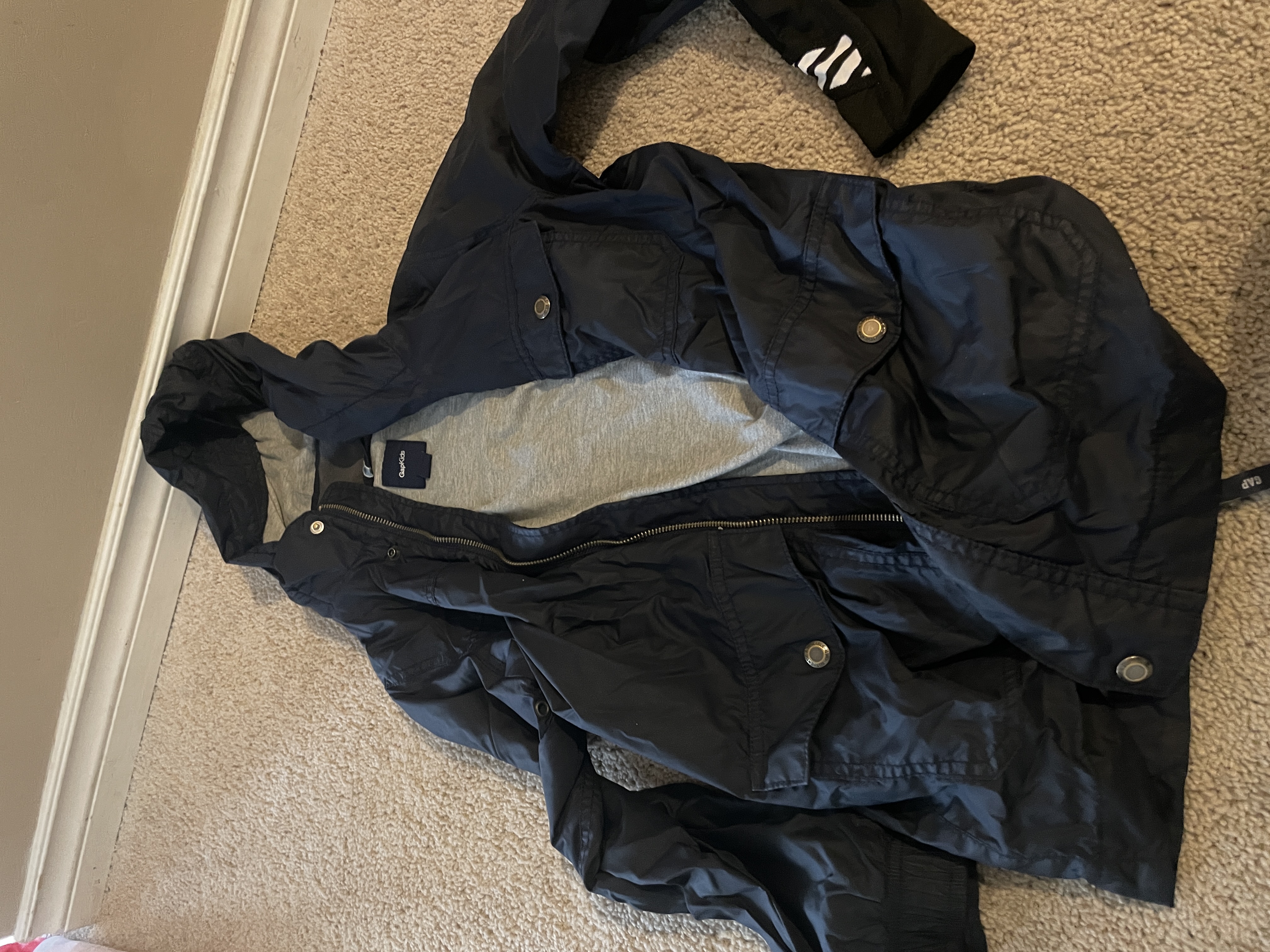 Blue Gap Jacket size 8